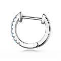 S925 Sterling Silver Circle Earrings Zircon Earrings (Blue Silver)