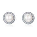 Simple Pearl  Ladies Temperament Earrings S925 Sterling Silver Earrings