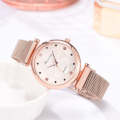 Ladies Magnet Buckle Watch Casual Flower Dial Watch Alloy Mesh Quartz Watch(Gold White+Bracelet)