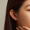 SCE1516 Cat Ears Claws Earrings 925 Silver Plated Black Gold Earrings