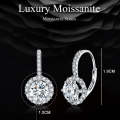 MSE002 S925 Sterling Silver Moissanite Zirconia Elegant Earrings White Gold Plated