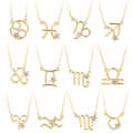 Zodiac Pattern Pendant Clavicle Chain Zodiac  Necklace(2204-6)