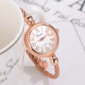 Lvpai Ladies Retro Round Large Dial Alloy Twisted Thin Chain Watch(P433Rose Gold)