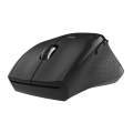 WINX Do Essential Wireless Mouse