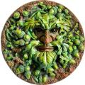 Canny Casts - Wall Hanging - Green Man (T1) *Original Series - Available in all 4 Seasons - Conker
