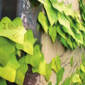 Sticky Leaf note | Ivy | Green Medium
