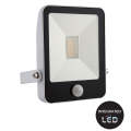 LED Floodlight 10W With Sensor and Remote