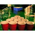 Beer Pong Game for Adults