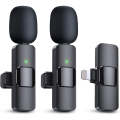 Professional Dual Wireless Lavalier Clip Microphones for iPhone iPad Clip (2 x Mic)