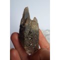 Smoky Quartz Formation with Chaotic Perfection