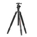 TRIOPO M2508 Multifunction Adjustable 4-Section Portable Aluminum Alloy Tripod Monopod with D-2A ...