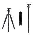 TRIOPO M2508 Multifunction Adjustable 4-Section Portable Aluminum Alloy Tripod Monopod with D-2A ...