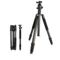 BEXIN W324C G44 Carbon Fiber Tripod Stable Shooting Camera for Video Point Dslr Camera