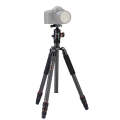 Fotopro X-go Max E Portable Collapsible Carbon Fiber Camera Tripod with Dual Action Ball Head