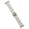 For Apple Watch SE 2023 40mm Stainless Steel Watch Band(Starlight)