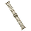 For Apple Watch Series 9 41mm Stainless Steel Watch Band(Titanium)