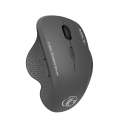 iMICE G6 Wireless Mouse 2.4G Office Mouse 6-button Gaming Mouse(Grey)