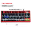 PK-870 USB Port RGB Lighting Mechanical Gaming Wired Keyboard (Black)