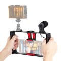PULUZ 2 in 1 Live Broadcast Smartphone Video Rig + Microphone Kits for iPhone, Galaxy, Huawei, Xi...