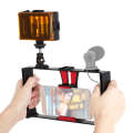 PULUZ 2 in 1 Vlogging Live Broadcast LED Selfie Light Smartphone Video Rig Kits with Cold Shoe Tr...