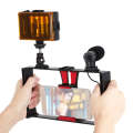 PULUZ 3 in 1 Vlogging Live Broadcast LED Selfie Light Smartphone Video Rig Kits with Microphone +...
