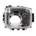 PULUZ 40m Underwater Depth Diving Case Waterproof Camera Housing for Canon EOS-5D Mark III (EF 24...