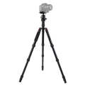 Triopo MT-2805C Adjustable Portable Aluminum Tripod (Gold) with NB-2S Ball Head (Black) for Canon...