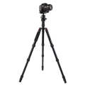 Triopo MT-2805C Adjustable Portable Aluminum Tripod (Gold) with NB-2S Ball Head (Black) for Canon...