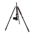 Triopo GT-2504X8.C Adjustable Portable Carbon Fiber Tripod with B-1 Aluminum Ball Head for Canon ...