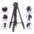 JMARY KP2254 Three colors are available Cell Phone SLR Outdoor Photography Tripod Stand(Black)