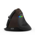 DELUX M618Mini Colorful Wireless Luminous Vertical Mouse Bluetooth Rechargeable Vertical Mouse(El...