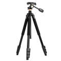 Q338 4-Section Folding Legs Live Broadcast Aluminum Alloy Tripod Mount With Three-dimensional Head