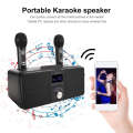 SDRD SD309 Wireless Microphone Bluetooth Audio All-In-One Machine(Golden)