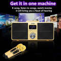 SDRD SD309 Wireless Microphone Bluetooth Audio All-In-One Machine(Golden)