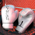 SHIRAN Q1001 Boxing Sanda Gloves Training Fighting Professional Fitness Gloves, Size: 10OZ(White)