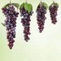 4 Bunches 60 Purple Grapes Simulation Fruit Simulation Grapes PVC with Cream Grape Shoot Props