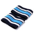 2pcs Mountain Bike Bicycle Outdoor Cycling Belt Striped Legs With Elastic Band(Blue)