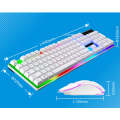 ZGB G21B Colorful Glow USB Wired Keyboard Mouse Set(Black)