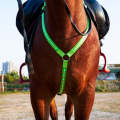 Outdoor Equestrian Equipment LED Light Chest Strap, Specification: Green