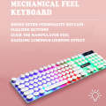 Shipadoo LD-122 4 in 1 Girly Glowing Keyboard + Mouse + Earphone + Mouse Pad Set(Black Punk)