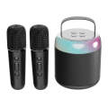 Home Portable Bluetooth Speaker Small Outdoor Karaoke Audio, Color: Y2 Black(Double wheat)