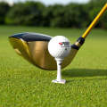 6pcs /Box PGM QT021 Golf Tee Holder Aimable Direction Multi-Purpose Golf Tees Tack
