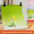 57 x 87cm Double-sided Gradient Background Paper Atmospheric Still Life Photography Props(Green+F...
