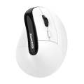 XUNSVFOX H5 Upright Vertical Dual Mode Mouse Rechargeable Wireless Business Office Mouse(White)