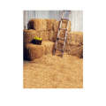 1.5m x 2.1m Straw Pile Wheat Field Scene Newborn Photo Photography Background Cloth