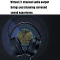 Rapoo VH500C Desktop Computer 7.1 Channel RGB Luminous Game Headset with Short Microphone, Cable ...