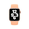 For Apple Watch Series 9&8&7 41mm / SE 3&SE 2&6&SE&5&4 40mm / 3&2&1 38mm Solid Color Elastic Sili...