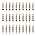 30 PCS VT-002 Bicycle Detachable French Valve Core Style: Ruled