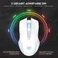 ONIKUMA CW905 2.4G RGB Lighting Wireless Mouse (Grey White)