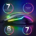 ONIKUMA CW905 RGB Lighting Wired Mouse(Black)